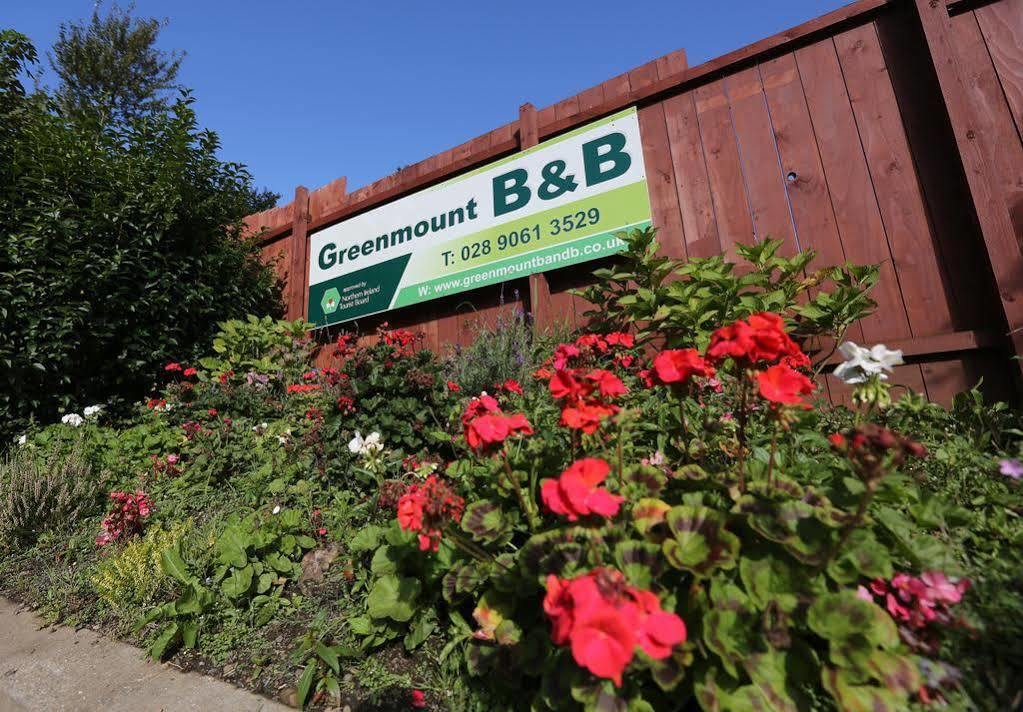 벨파스트 그린마운트 비앤비 B&B 외부 사진
